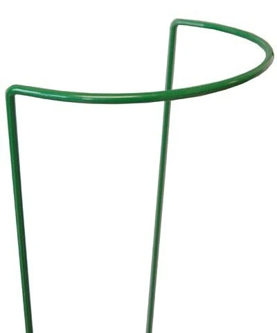 Metal Plant Support