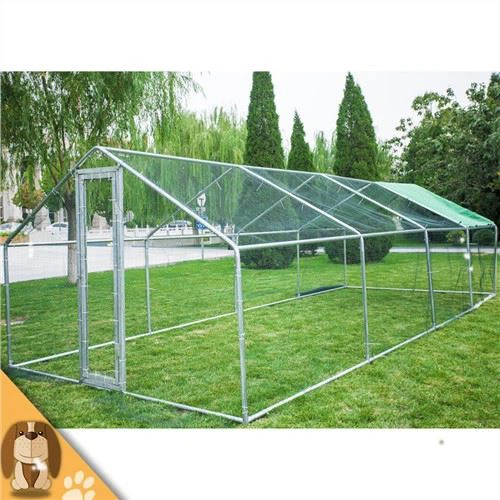 Store kyllinger, ænder og gæs lever sammen i fjerkræburet