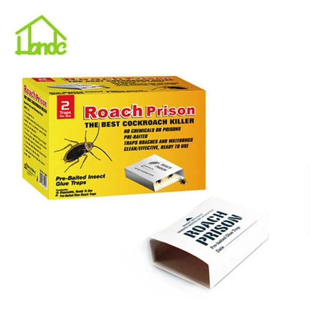 Roach Killer Snake And Pest Glue Boards