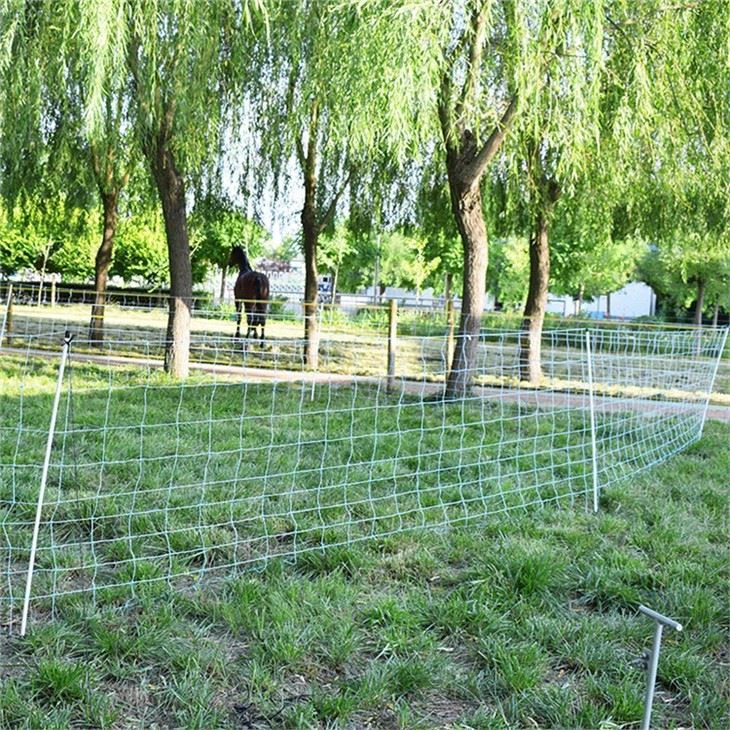 Electric Fence Sheep Netting With Single Posts