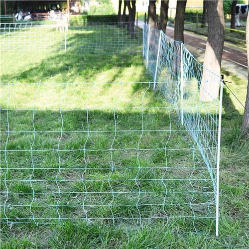 Farm Elektrisk Dyrehegn Til Får Ged Med Stolpe